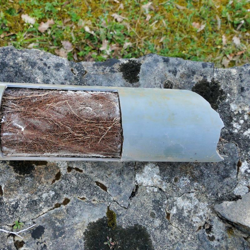 Residential blocked drain