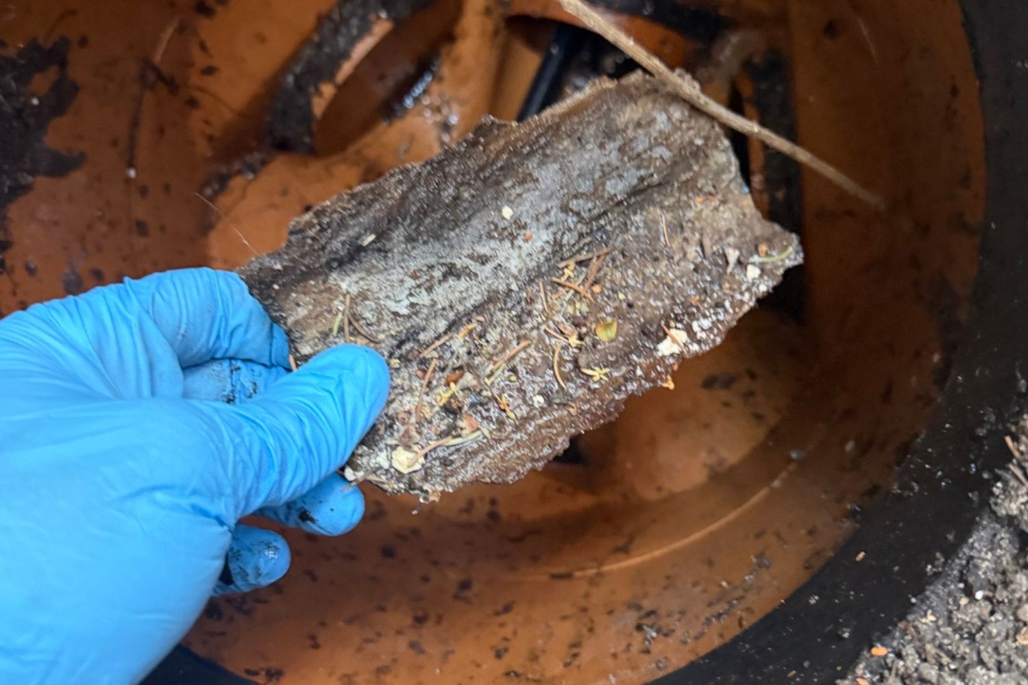 build up from drain blockage