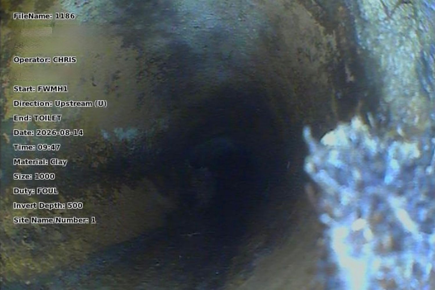 CCTV image showing tree root ingress and damage inside a clay drainage pipe.
